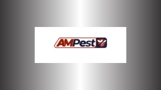 Reliable Pest Control in Selden New York for a Pest-Free Home