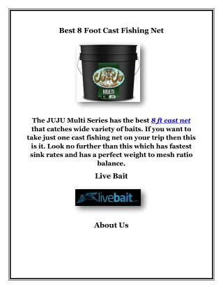 Best 8 Foot Cast Fishing Net, livebait.com