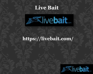 Cast Fishing Nets, livebait