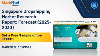singapore dropshipping market research report