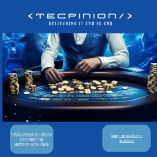 https www tecpinion com igaming platform providers