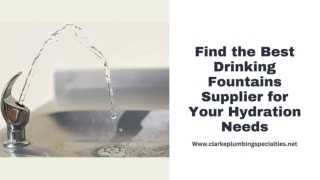Find the Best Drinking Fountains Supplier for Your Hydration Needs