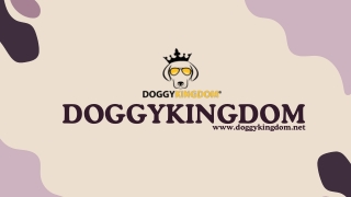 doggykingdom