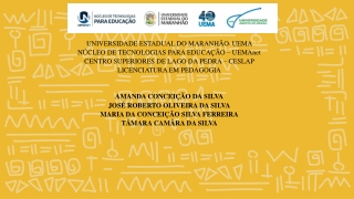 POVOS NEGROS NO BRASIL