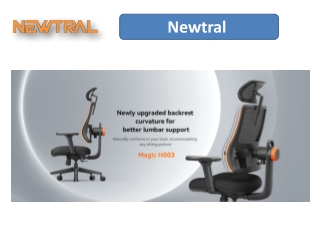 Set Up Your Workstation: Choose the Ideal Ergonomic Chair for Your Home Office