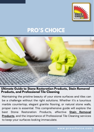 Ultimate Guide to Stone Restoration Products, Stain Removal Products, and Professional Tile Cleaning