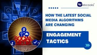 Understanding Social Media Algorithm Impact