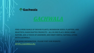 gachwala