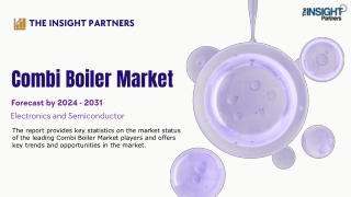 the insight partners