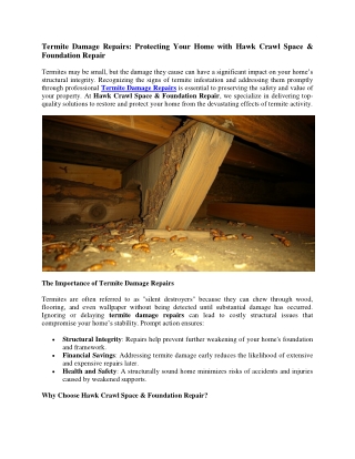 Termite Damage Repairs- Protecting Your Home with Hawk Crawl Space & Foundation Repair