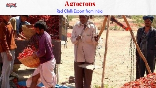 agrocrops