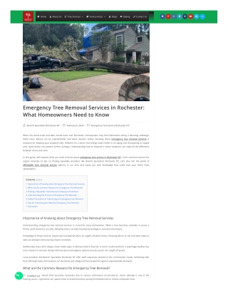 Emergency Tree Removal Services in Rochester What Homeowners Need to Know