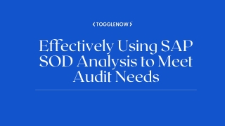 effectively using sap sod analysis to meet audit