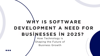 why is software development a need for bus nesses