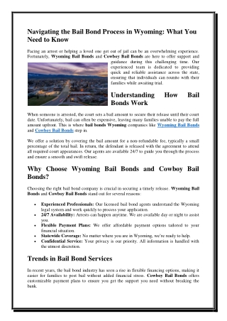 navigating the bail bond process in wyoming what