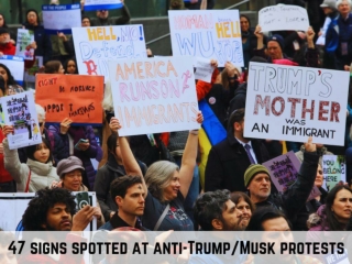 47 signs spotted at anti-Trump/Musk protests
