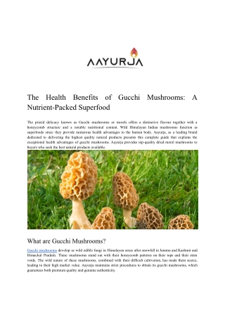 The Health Benefits of Gucchi Mushrooms: A Nutrient-Packed Superfood