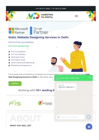 Static Website Designing Services In Delhi