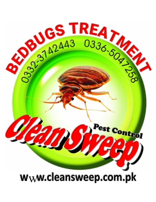 Bedbugs treatment, spray service in Islamabad, Rawalpindi,Lahore, Karachi