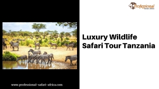 Luxury Wildlife Safari Tour Tanzania