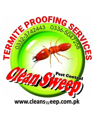 Termite proofing service in Islamabad, Rawalpindi,Lahore, Karachi