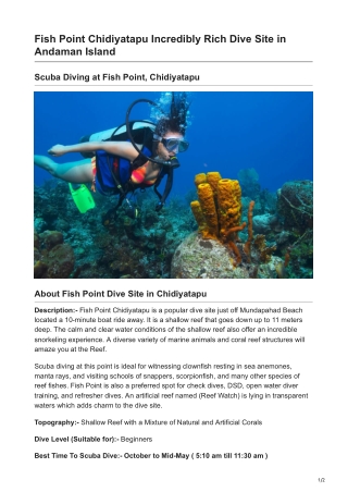 Explore The Magnificent Fish Point Dive Site at Chidiyatapu, Andaman Islands