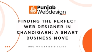 Finding the Perfect Web Designer in Chandigarh A Smart Business Move