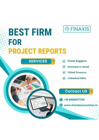project report for cmegp loan