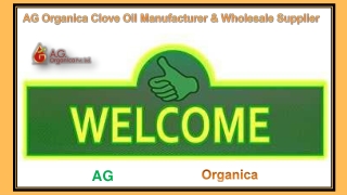 AG Organica Clove Oil Manufacturer & Wholesale Supplier
