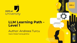 llm learning path level 1