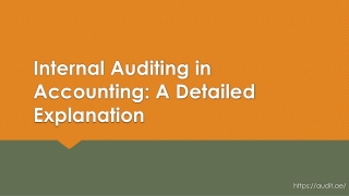 internal auditing in accounting a detailed explanation