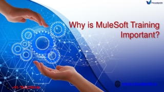why is mulesoft training important