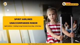 How much is the Spirit unaccompanied minor fee?