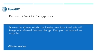 Détecteur Chat Gpt | Zerogpt.com