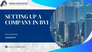 Setting Up a Company in BVI