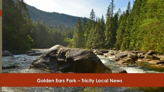 Golden Ears Park  - www.tricitylocalnews.com
