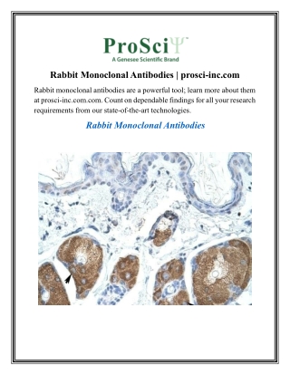 Rabbit Monoclonal Antibodies prosci-inc.com