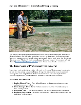 Safe and Efficient Tree Removal and Stump Grinding