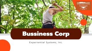 bussiness corp