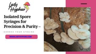 isolated spore syringes for precision purity
