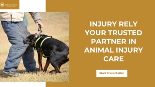 Injury Rely: Your Trusted Partner in Animal Injury Care