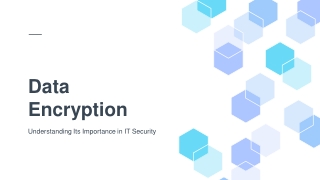 The Growing Importance of Data Encryption in IT Security