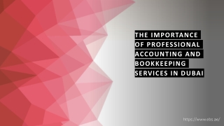 The Importance of Professional Accounting and Bookkeeping Services
