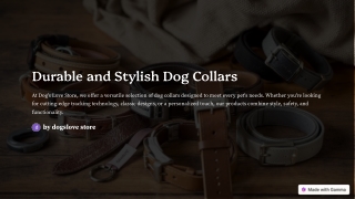 Durable-and-Stylish-Dog-Collars
