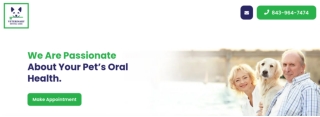 Dog Oral Health Treatment in Charleston, SC