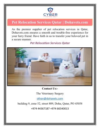 Pet Relocation Services Qatar | Dohavets.com
