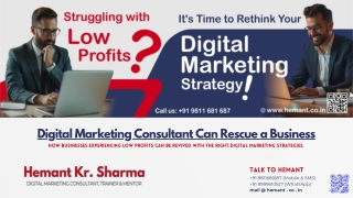 Digital Marketing Consultant Can Rescue a Business