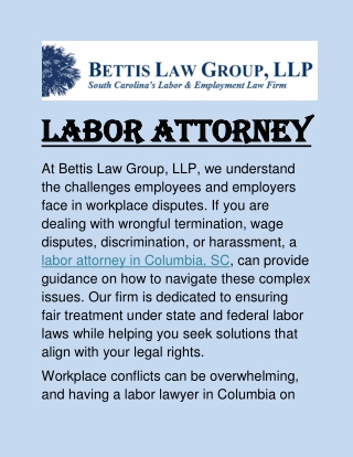 Labor Attorney in Columbia, SC: Guidance on Employment Law Matters