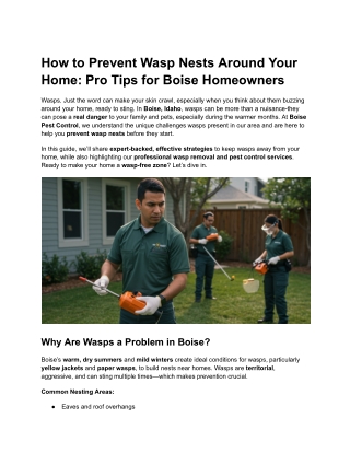How to Prevent Wasp Nests Around Your Home_ Pro Tips for Boise Homeowners