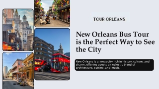 new orleans bus tour is the perfect way to see the city